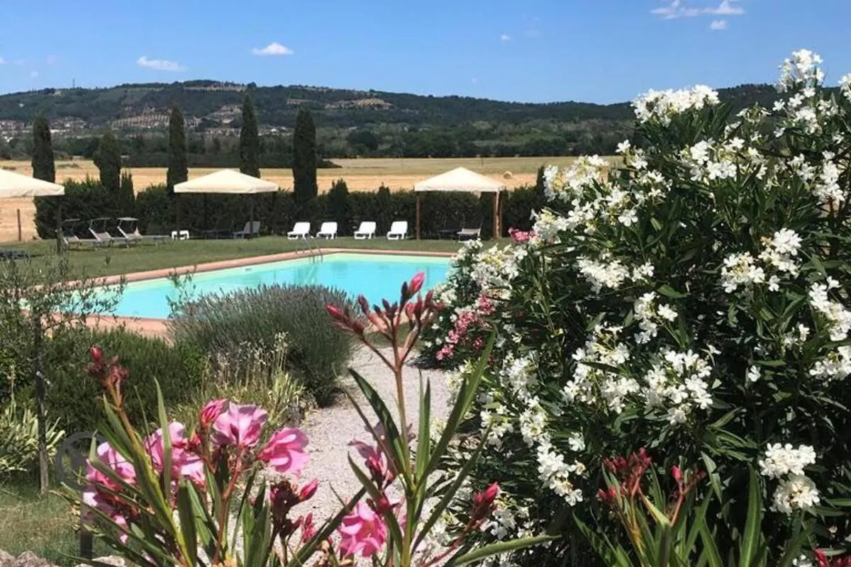 Apartment Cozy Home In Countryside Asciano Siena -Renovated!