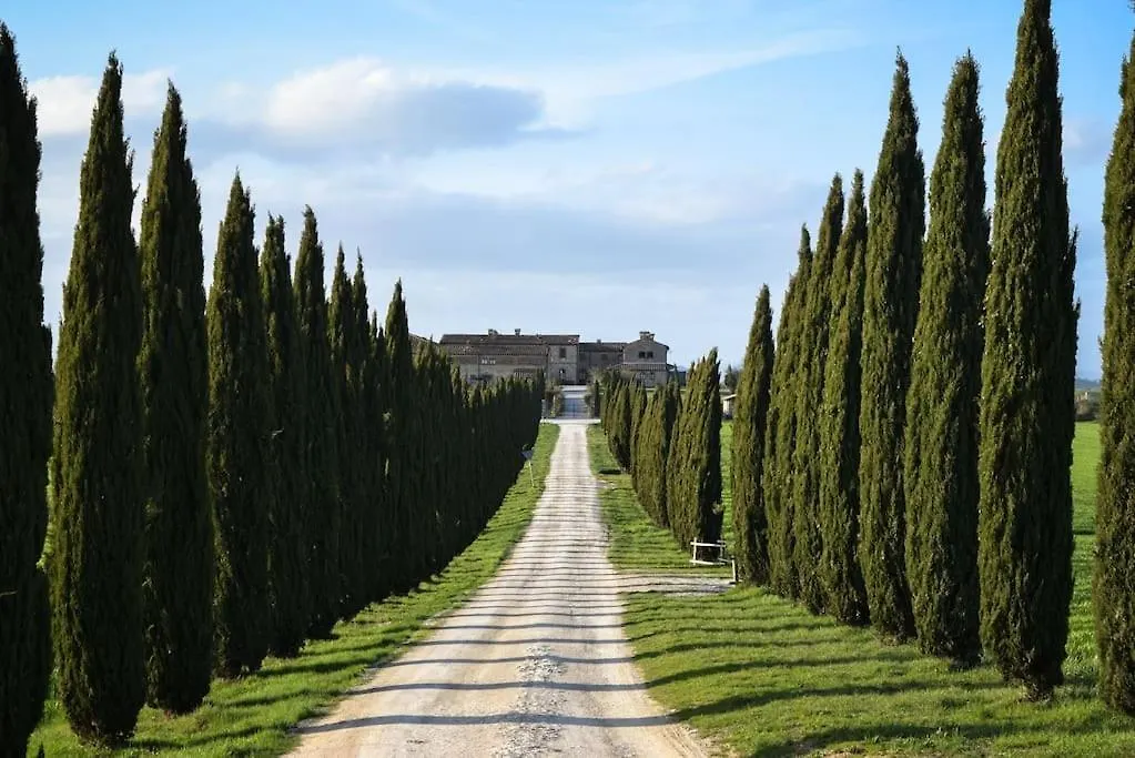 Cozy Home In Countryside Asciano Siena -Renovated!
